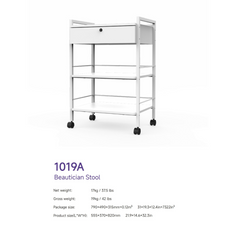 Silverfox 1019A Beautician Stool