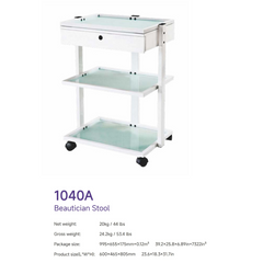 Silverfox 1040A Beautician Stool